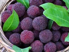 嘉弘塑料護(hù)目鏡專(zhuān)用PVC粒料，助力早日打贏(yíng)疫情